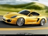 cayman-2013-yellow